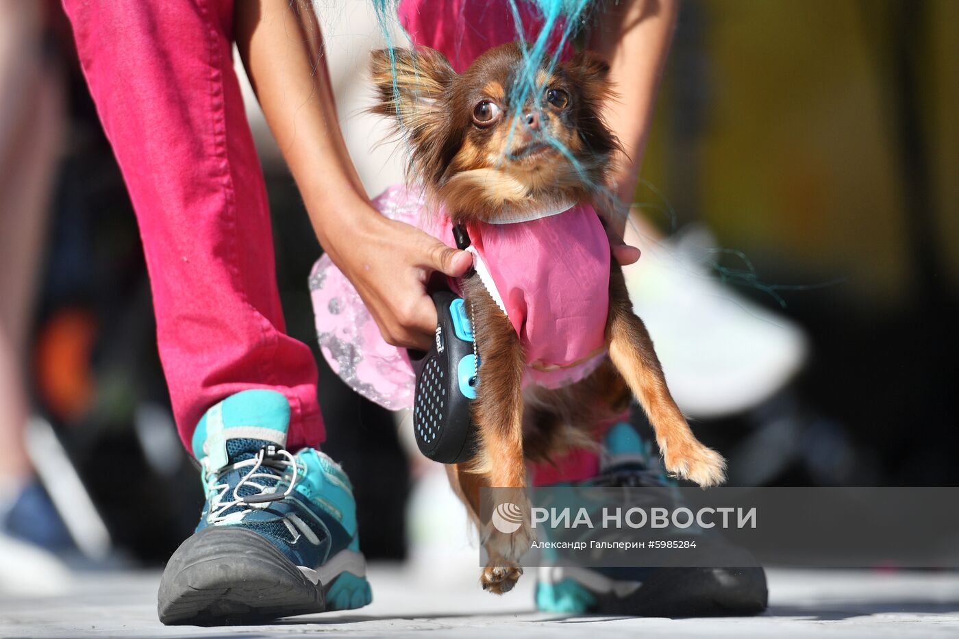 Фестиваль Petshop Days в Санкт-Петербурге