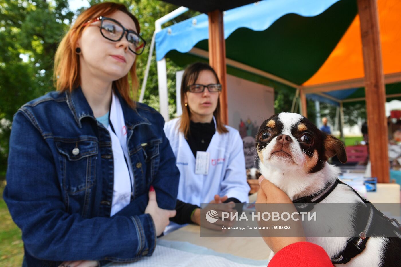 Фестиваль Petshop Days в Санкт-Петербурге