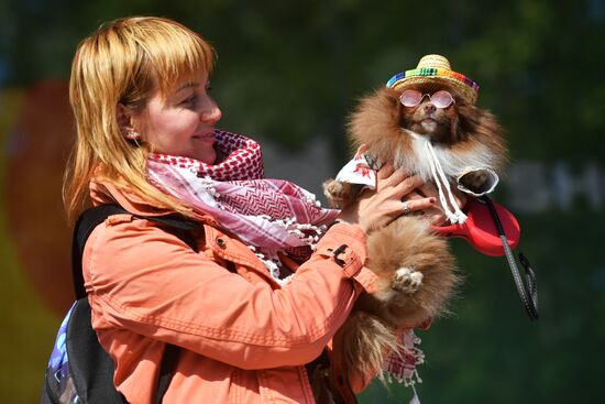 Фестиваль Petshop Days в Санкт-Петербурге