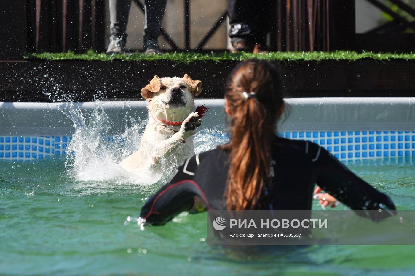 Фестиваль Petshop Days в Санкт-Петербурге
