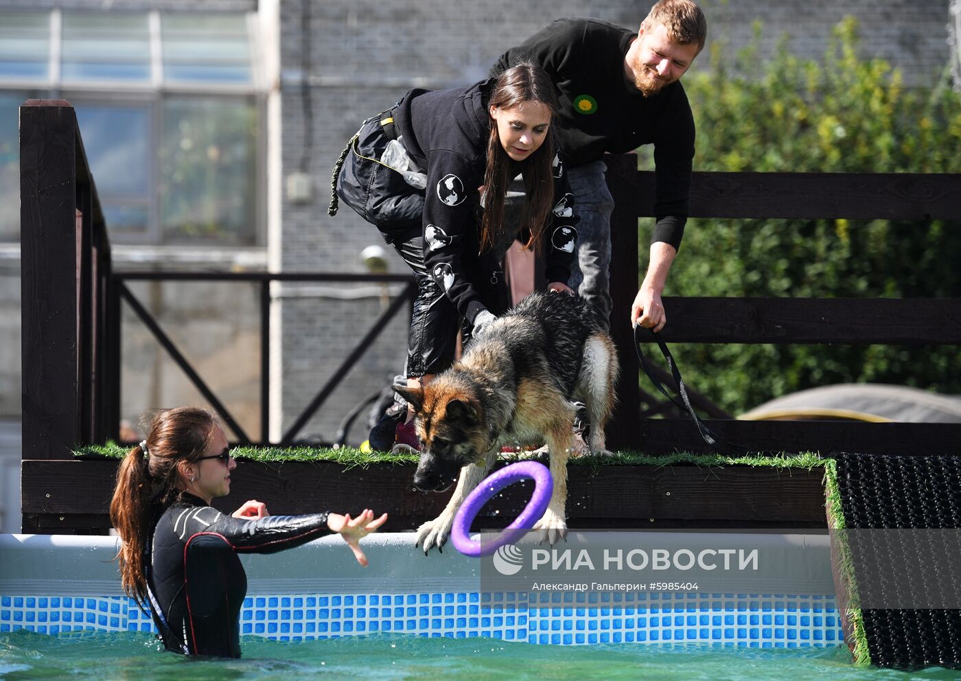 Фестиваль Petshop Days в Санкт-Петербурге