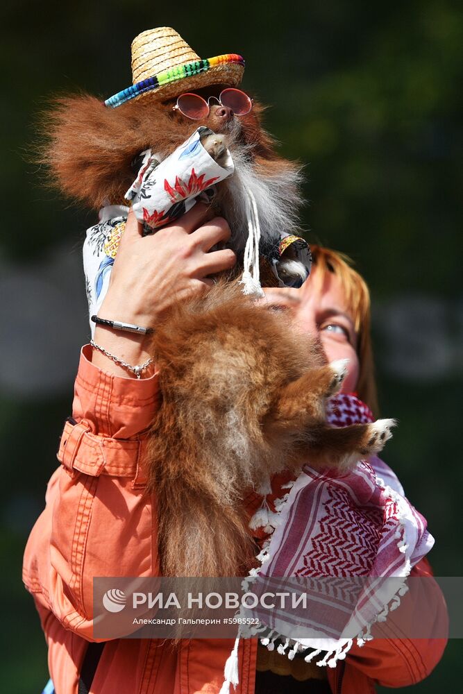 Фестиваль Petshop Days в Санкт-Петербурге