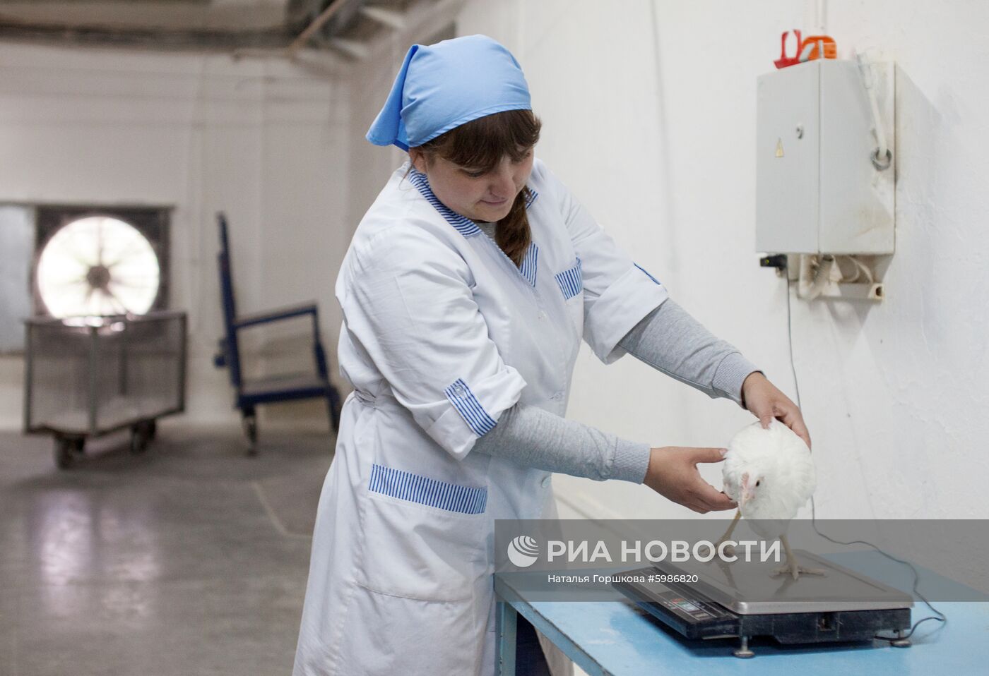 Птицефабрика "Пышминская" в Тюменской области