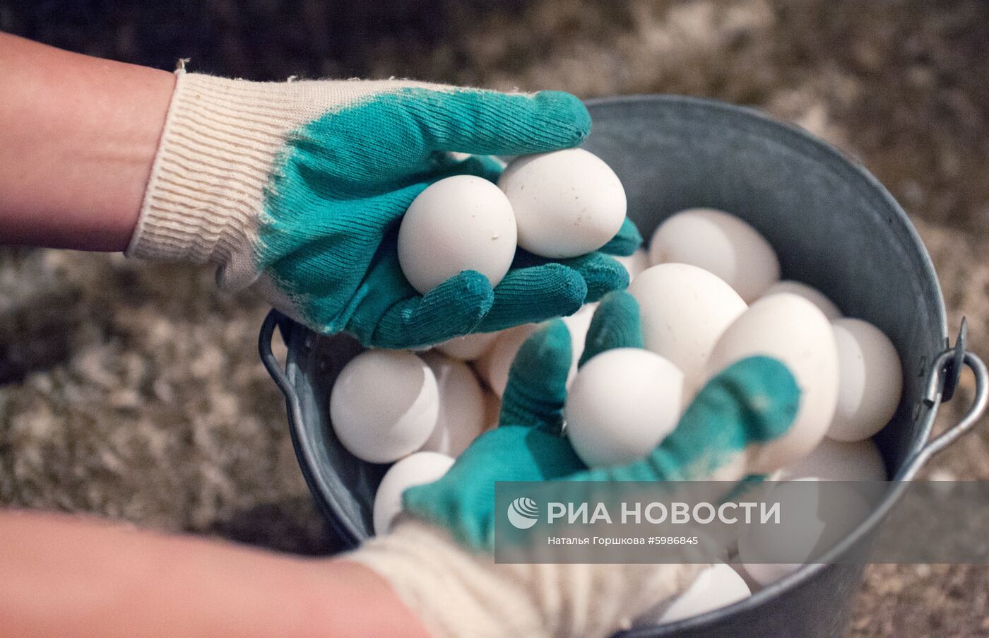 Птицефабрика "Пышминская" в Тюменской области