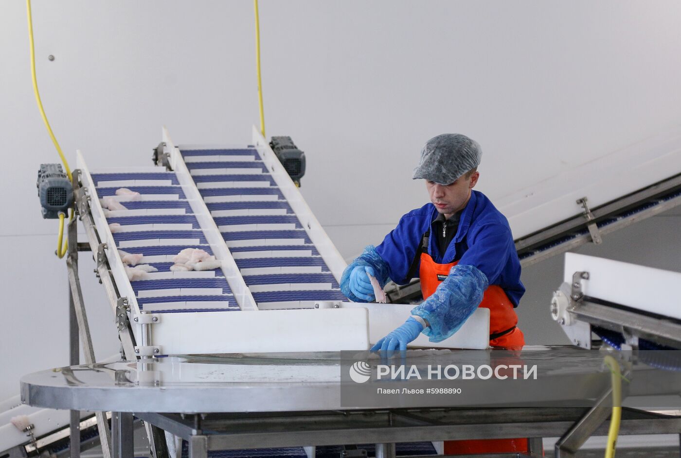 Открытие завода "Русская треска" в Мурманске