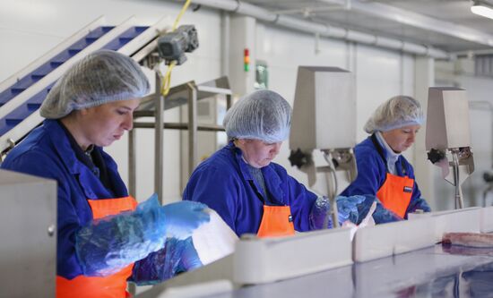 Открытие завода "Русская треска" в Мурманске