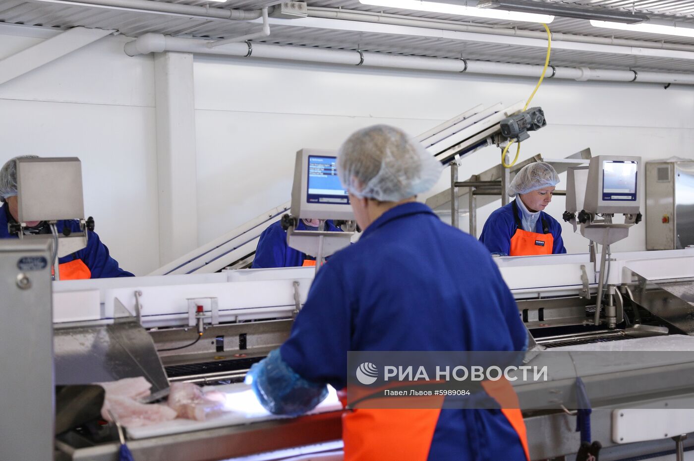 Открытие завода "Русская треска" в Мурманске