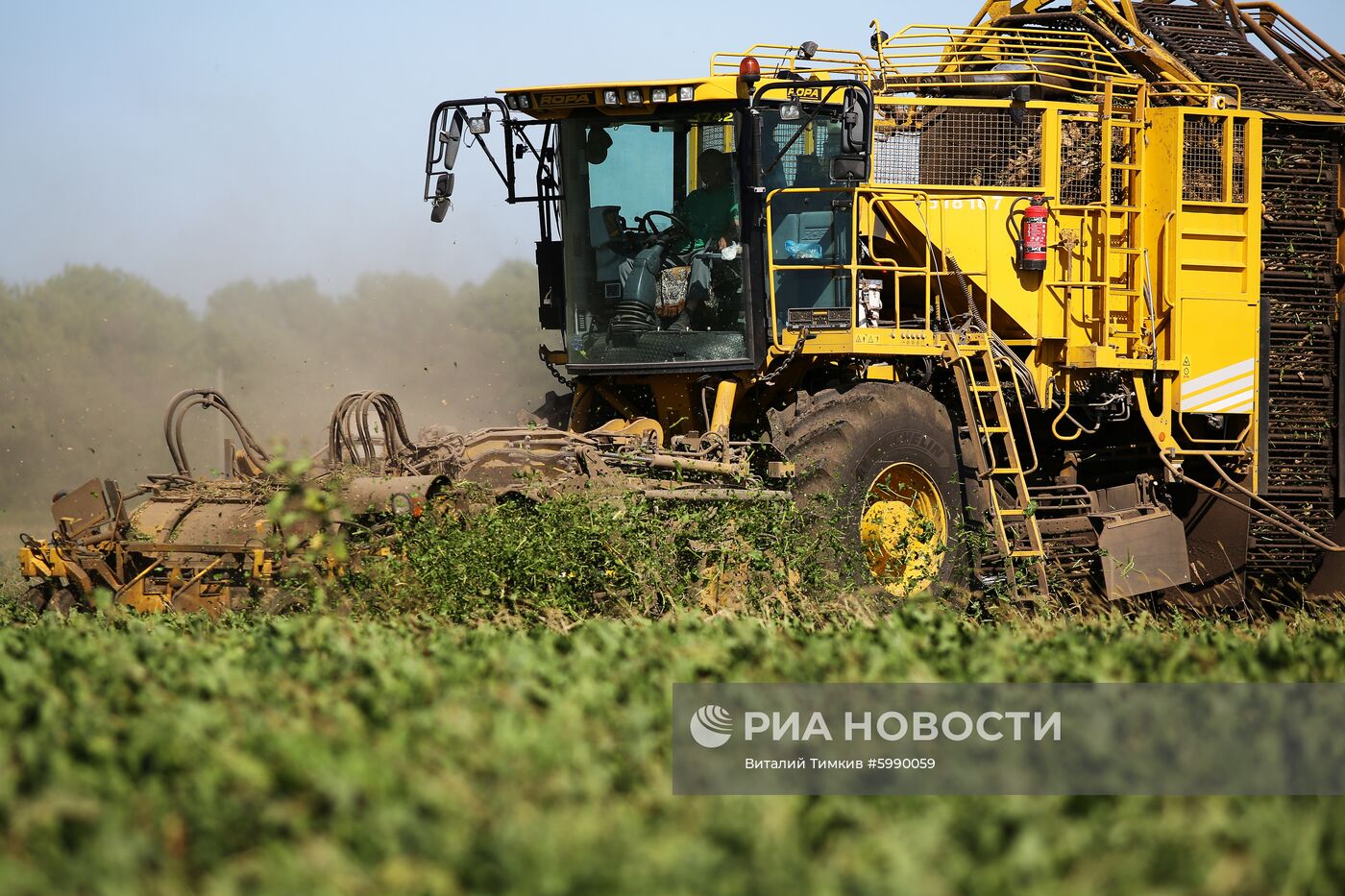 АО Сахарный завод "Свобода" в Краснодарском крае