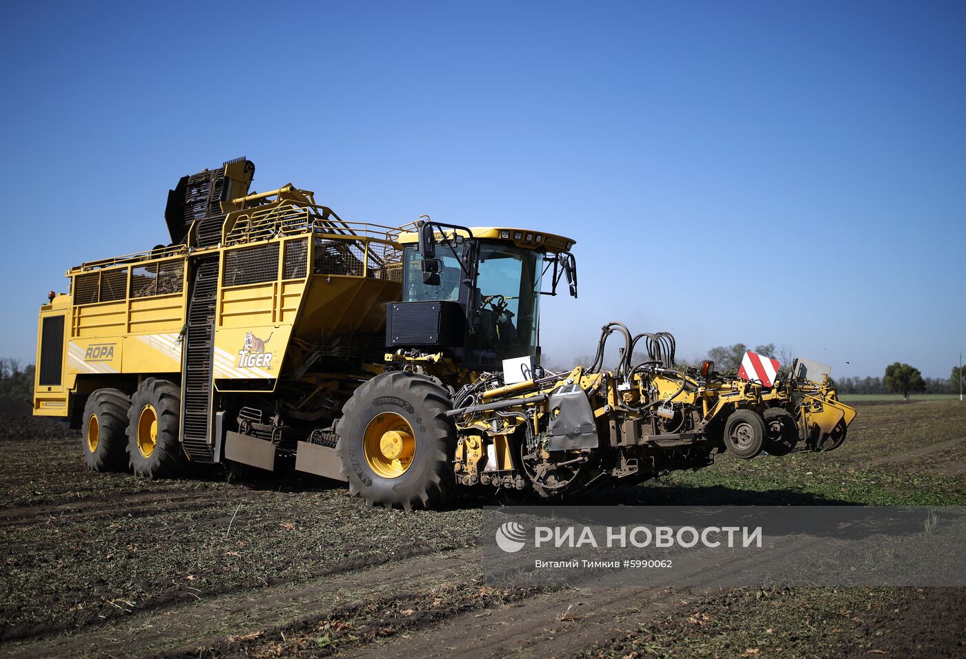 АО Сахарный завод "Свобода" в Краснодарском крае