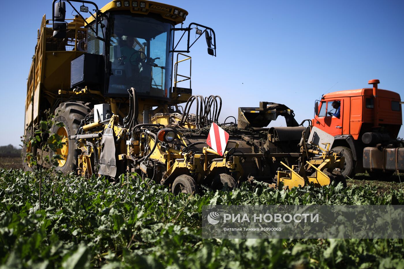 АО Сахарный завод "Свобода" в Краснодарском крае