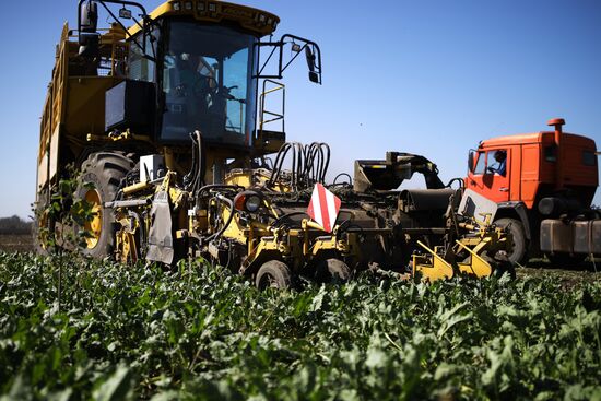 АО Сахарный завод "Свобода" в Краснодарском крае