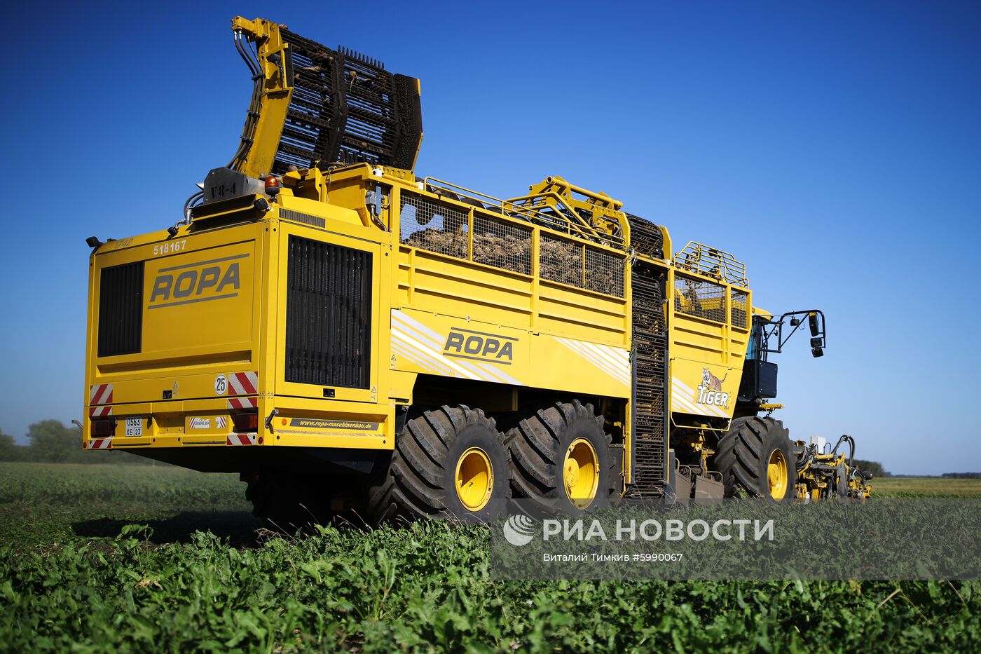 АО Сахарный завод "Свобода" в Краснодарском крае