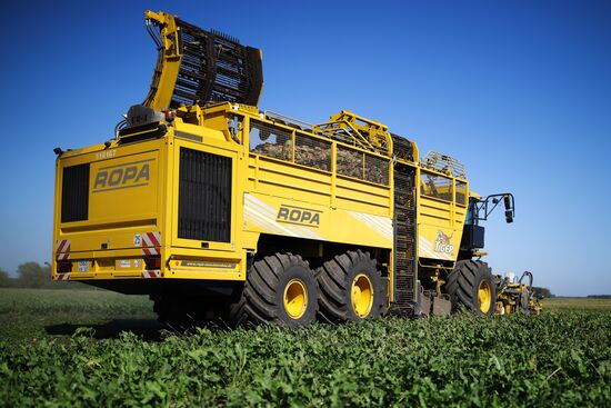 АО Сахарный завод "Свобода" в Краснодарском крае