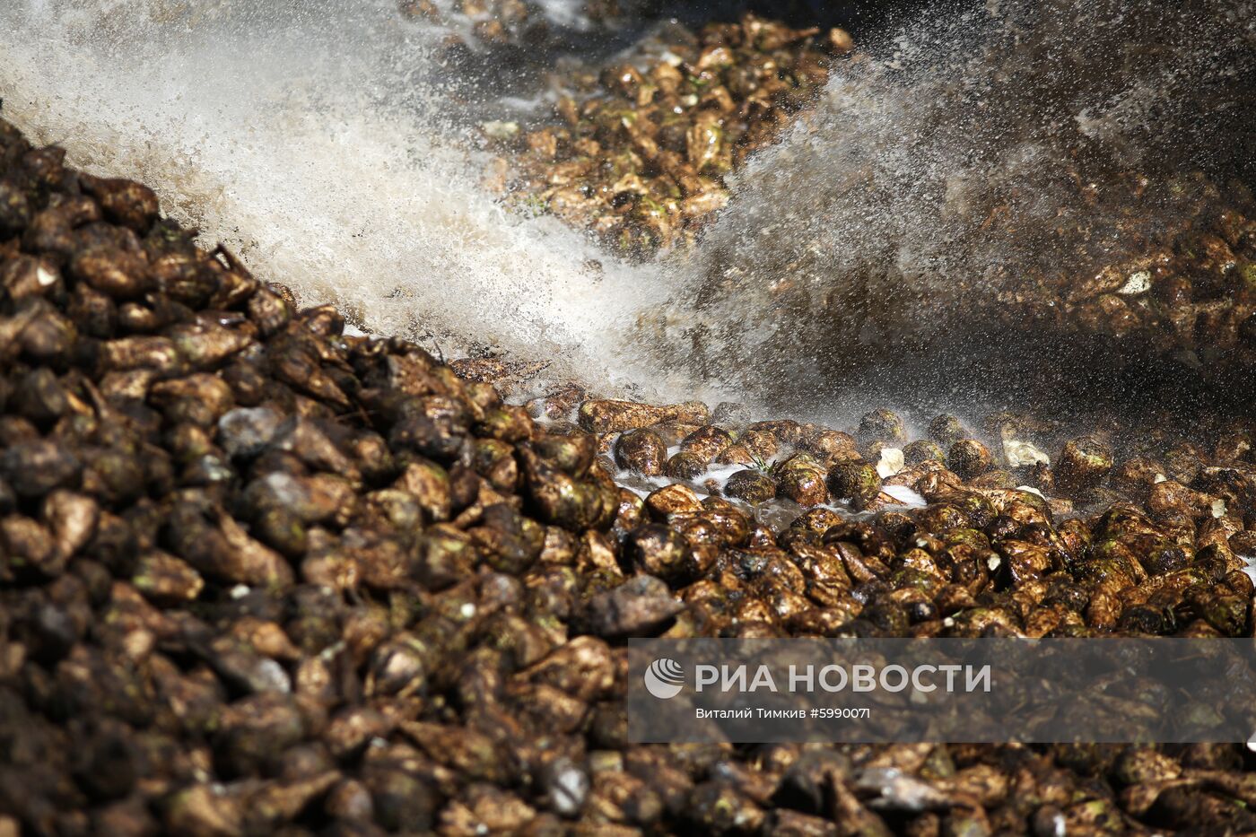 АО Сахарный завод "Свобода" в Краснодарском крае