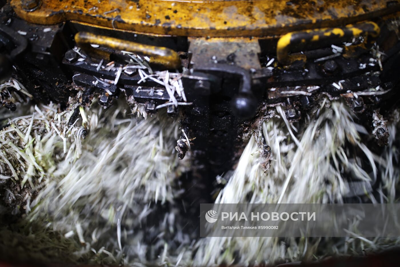 АО Сахарный завод "Свобода" в Краснодарском крае