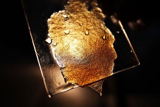 АО Сахарный завод "Свобода" в Краснодарском крае