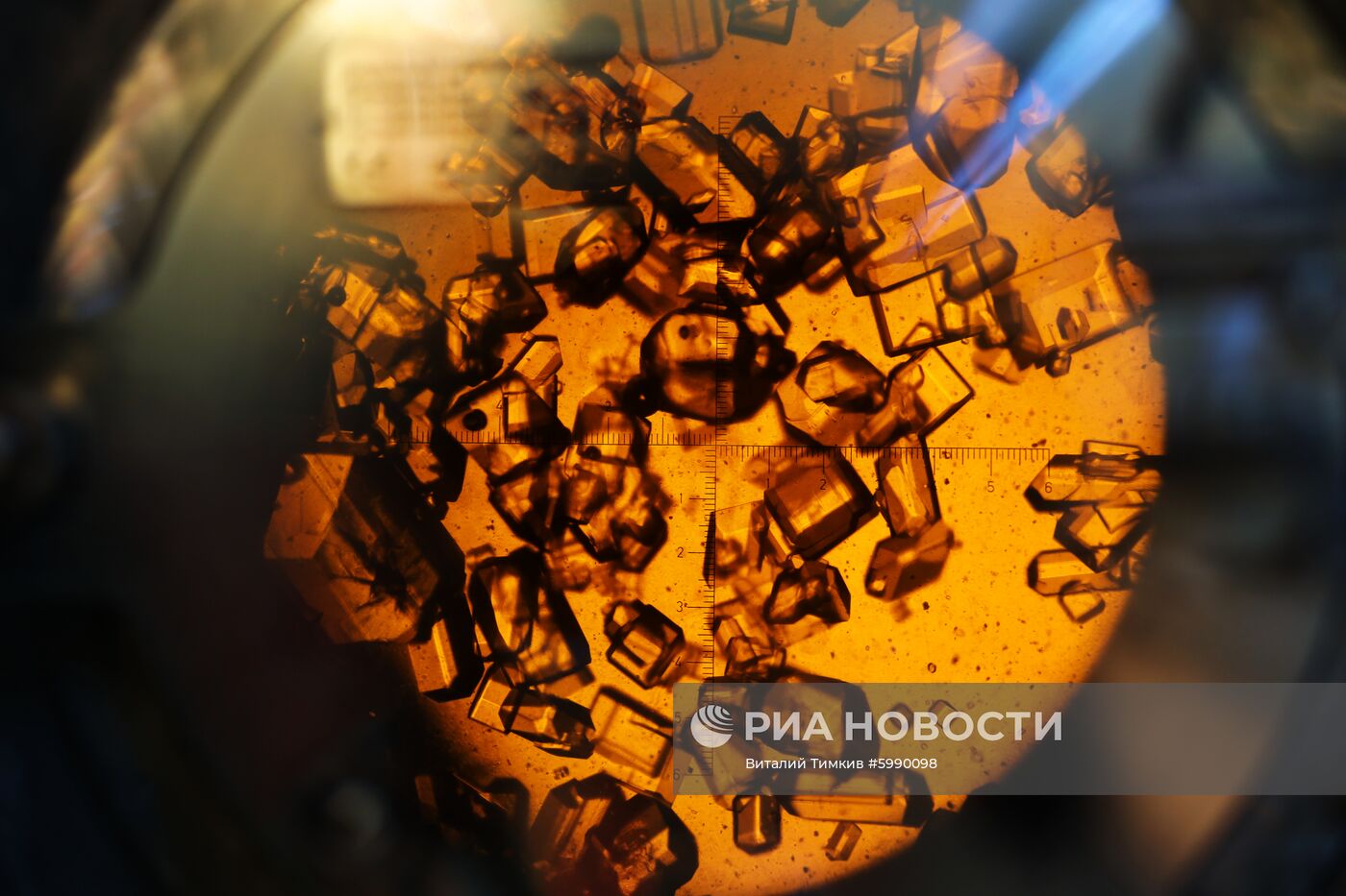 АО Сахарный завод "Свобода" в Краснодарском крае