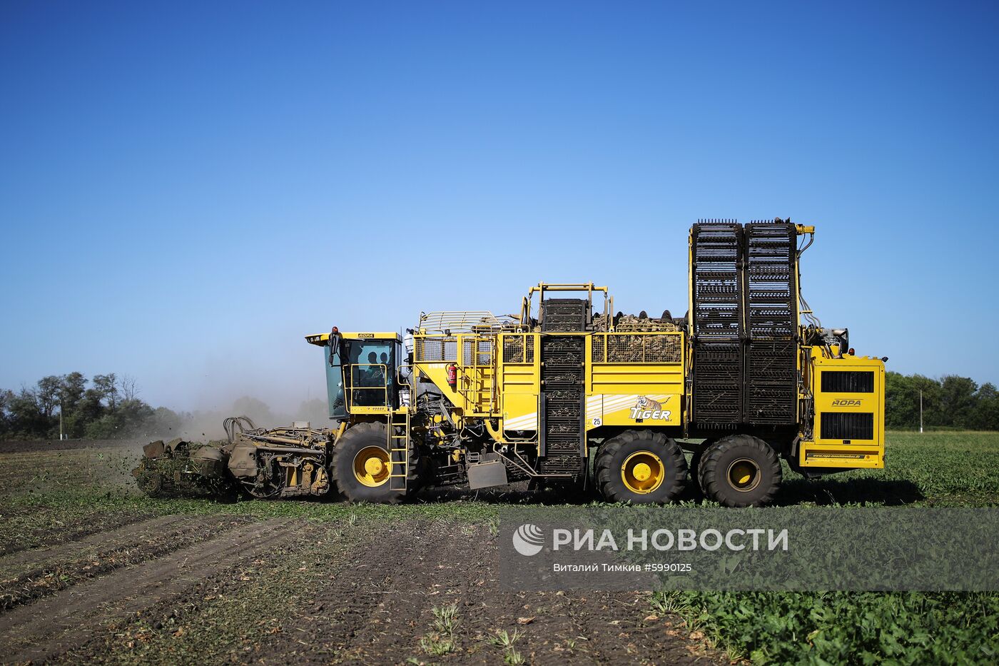 АО Сахарный завод "Свобода" в Краснодарском крае