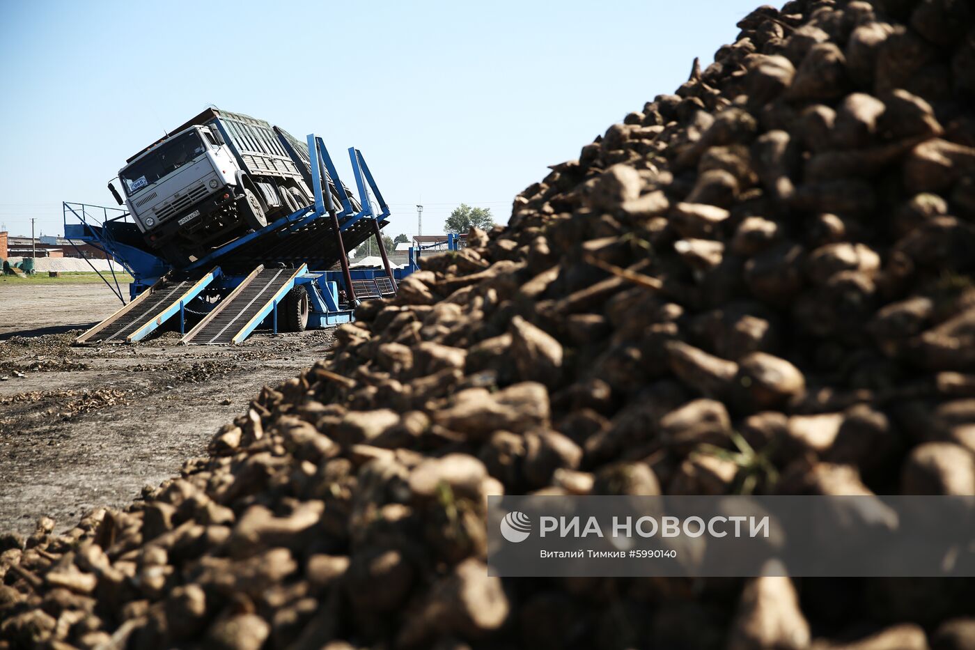 АО Сахарный завод "Свобода" в Краснодарском крае