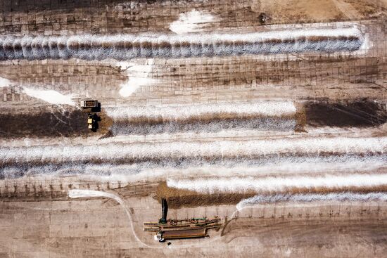 АО Сахарный завод "Свобода" в Краснодарском крае