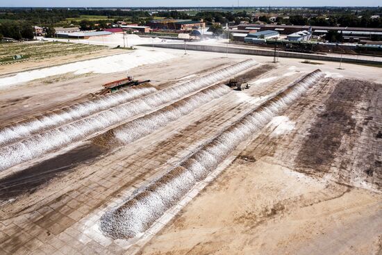 АО Сахарный завод "Свобода" в Краснодарском крае