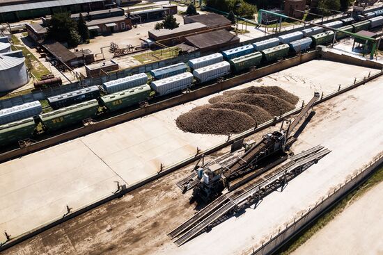 АО Сахарный завод "Свобода" в Краснодарском крае