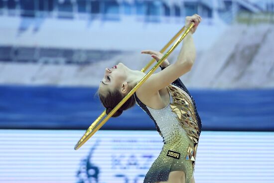 Художественная гимнастика. Этап Кубка вызова.