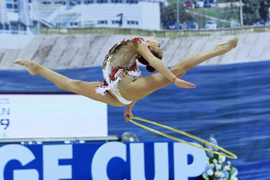 Художественная гимнастика. Этап Кубка вызова.