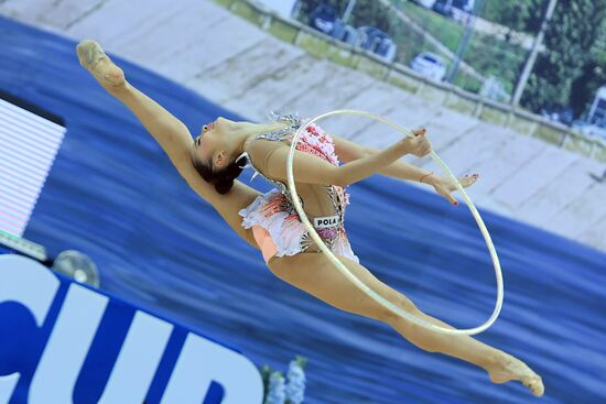 Художественная гимнастика. Этап Кубка вызова.