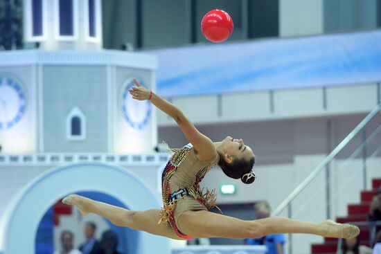 Художественная гимнастика. Этап Кубка вызова.