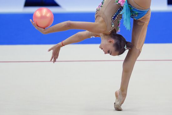 Художественная гимнастика. Этап Кубка вызова.