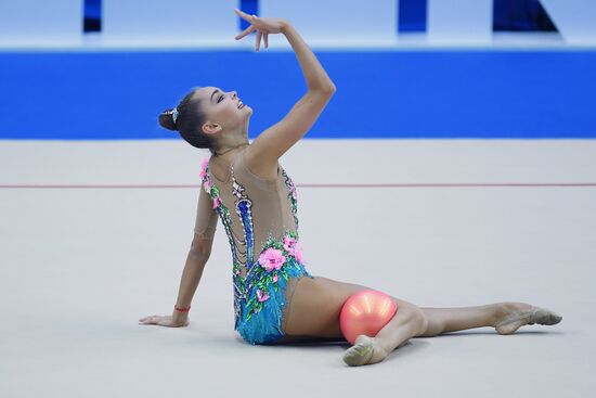 Художественная гимнастика. Этап Кубка вызова.