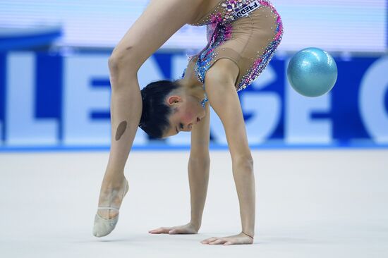 Художественная гимнастика. Этап Кубка вызова.