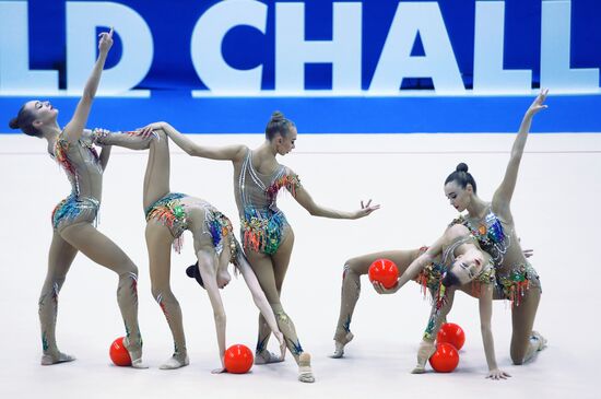 Художественная гимнастика. Этап Кубка вызова. 