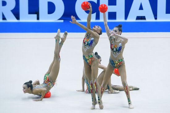 Художественная гимнастика. Этап Кубка вызова. 