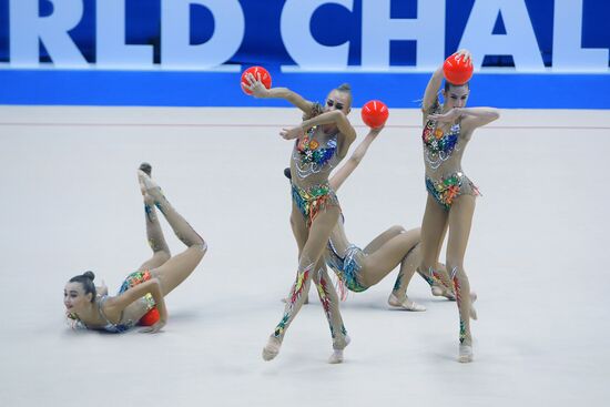 Художественная гимнастика. Этап Кубка вызова. 