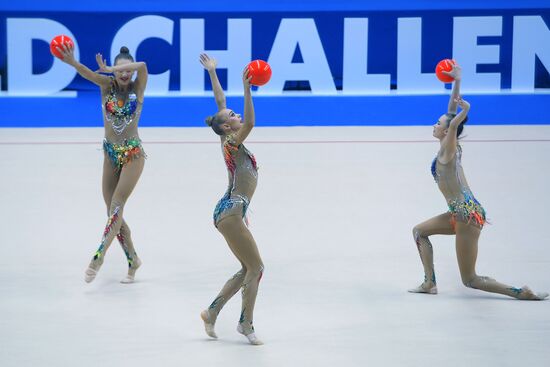 Художественная гимнастика. Этап Кубка вызова. 