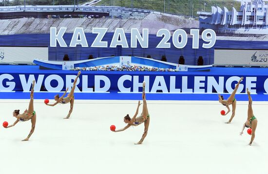 Художественная гимнастика. Этап Кубка вызова. 