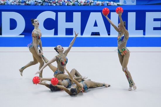 Художественная гимнастика. Этап Кубка вызова. 