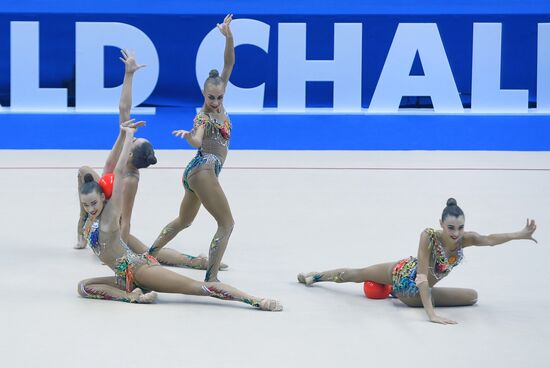 Художественная гимнастика. Этап Кубка вызова. 