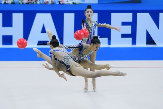 Художественная гимнастика. Этап Кубка вызова. 