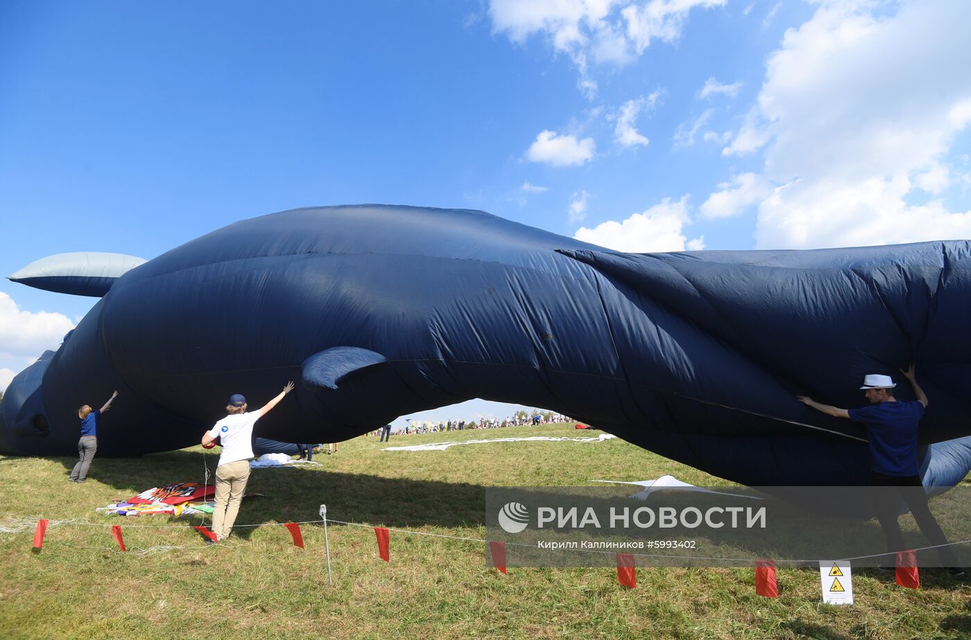 Фестиваль воздушных змеев "Пестрое небо"