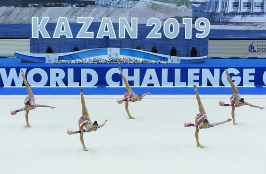 Художественная гимнастика. Этап Кубка вызова. 