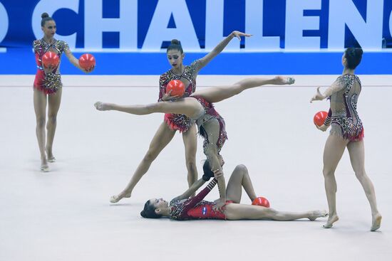 Художественная гимнастика. Этап Кубка вызова. 