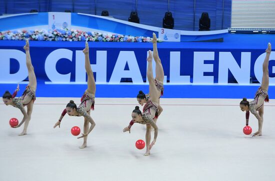 Художественная гимнастика. Этап Кубка вызова. 
