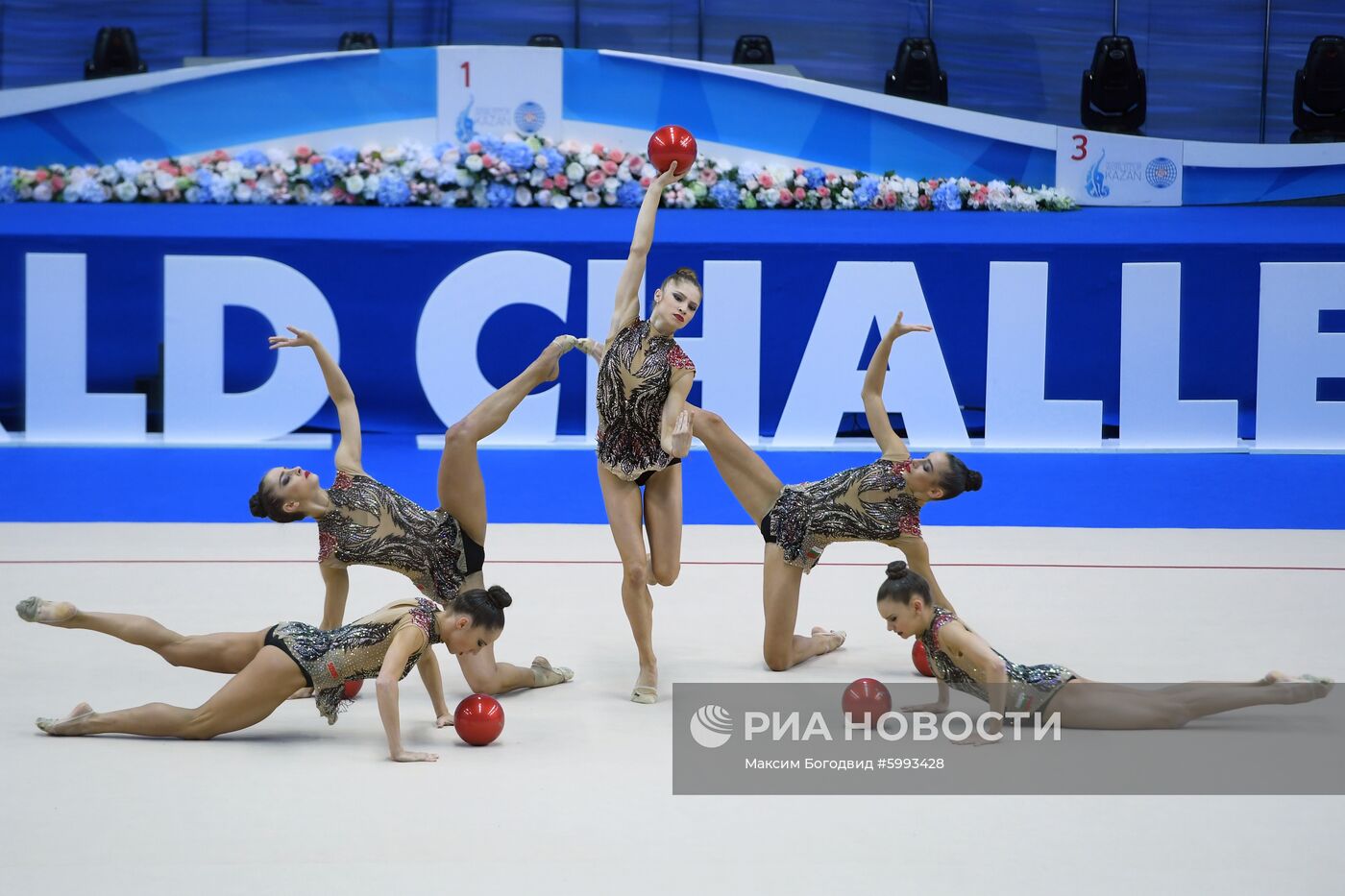 Художественная гимнастика. Этап Кубка вызова.