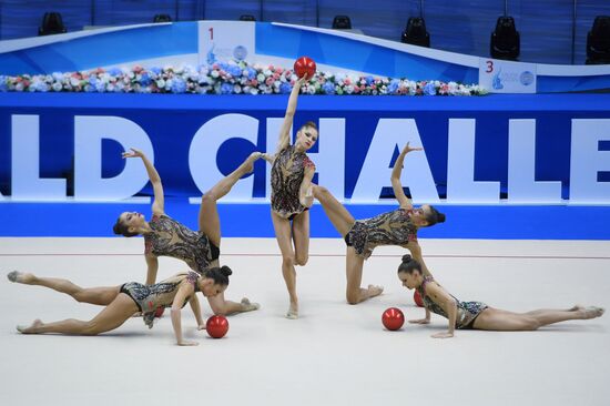 Художественная гимнастика. Этап Кубка вызова. 