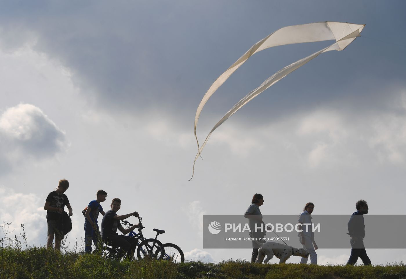 Фестиваль воздушных змеев "Пестрое небо"