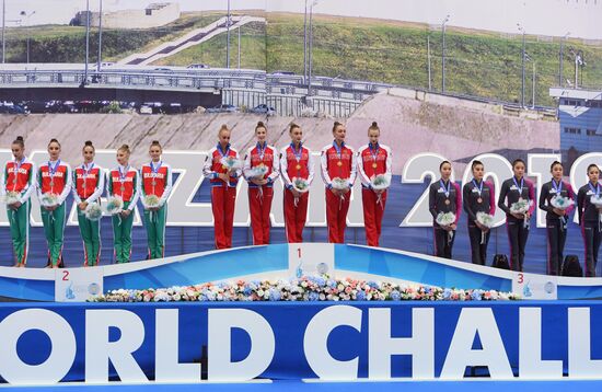 Художественная гимнастика. Этап Кубка вызова. 