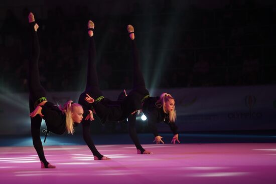 Художественная гимнастика. Этап Кубка вызова. 